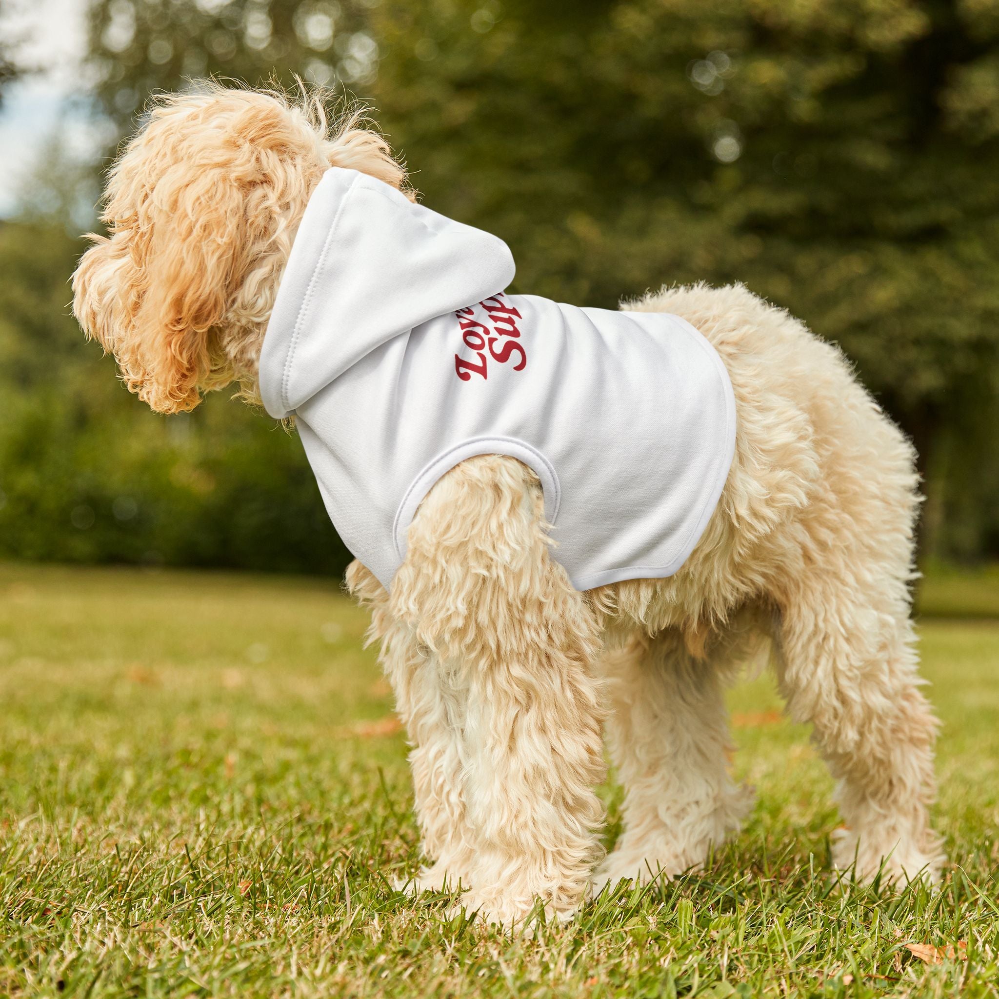 Cozy Pet Hoodie | Cute Dog Sweater for Stylish Pets, Perfect for Fall, Winter, Pet Birthdays, and Holiday Celebrations