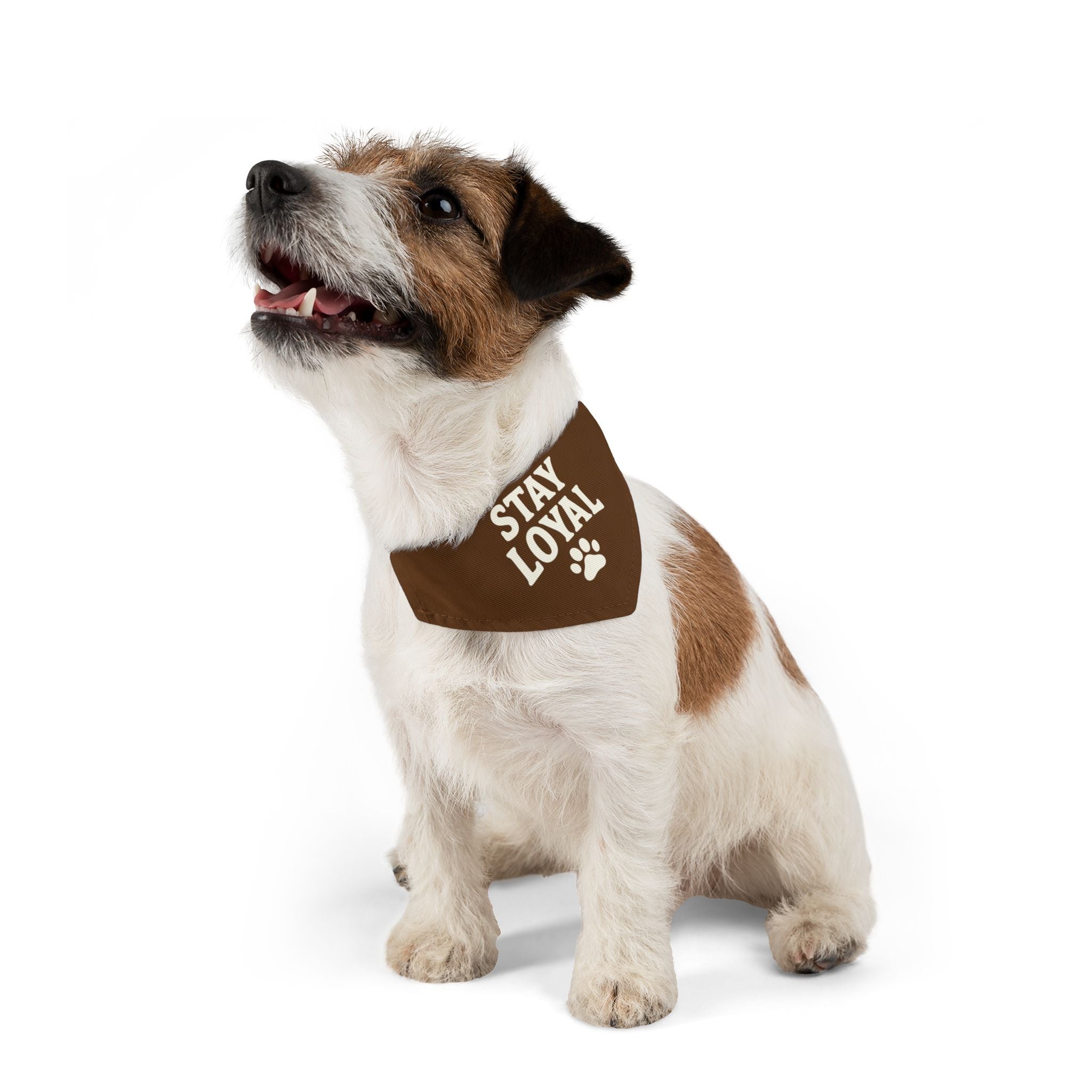 Stay Loyal Pet Bandana Collar, Cute Dog Accessories, Personalized Pet Gear, Gifts for Dog Lovers, Dog Bandana for Celebrations