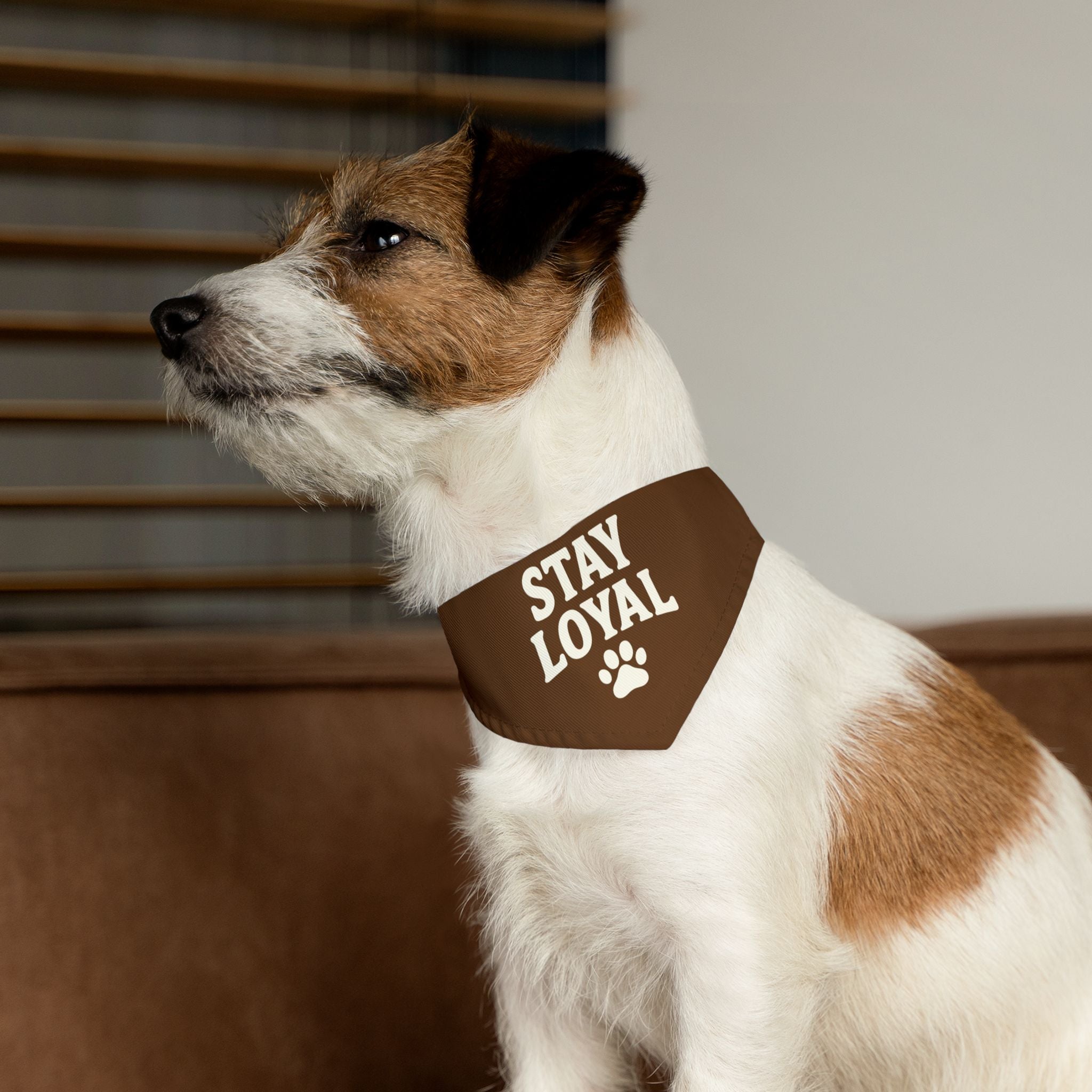 Stay Loyal Pet Bandana Collar, Cute Dog Accessories, Personalized Pet Gear, Gifts for Dog Lovers, Dog Bandana for Celebrations