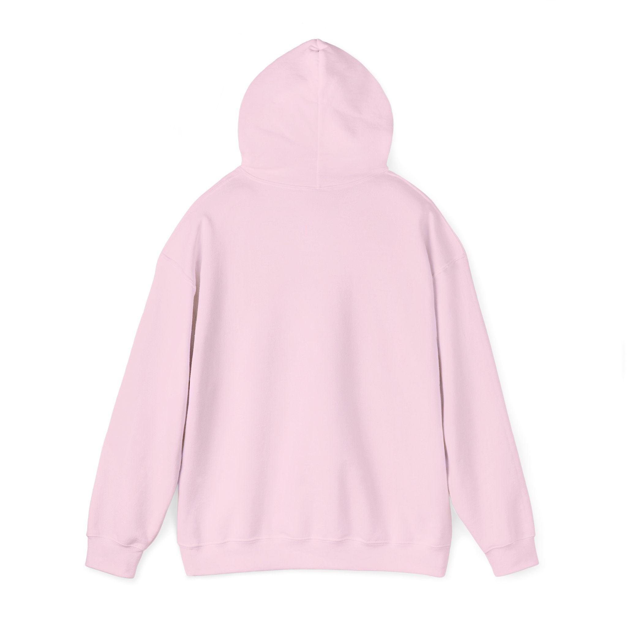Schnauzer Hooded Sweatshirt, Unisex Sweatshirt for Dog Lovers, Gifts for Pet Owners, Cozy Sweatshirt, Casual Wear