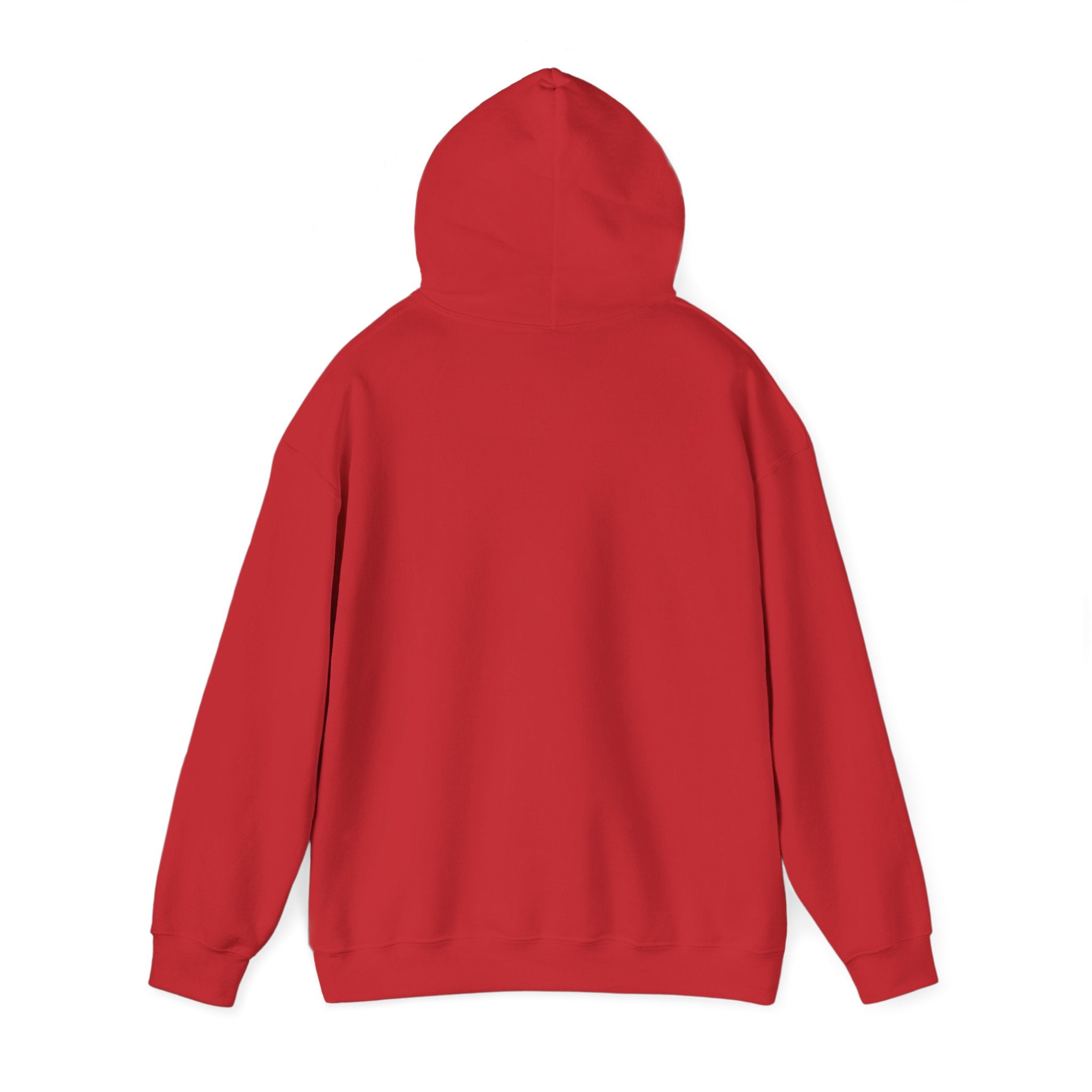 Schnauzer Hooded Sweatshirt, Unisex Sweatshirt for Dog Lovers, Gifts for Pet Owners, Cozy Sweatshirt, Casual Wear