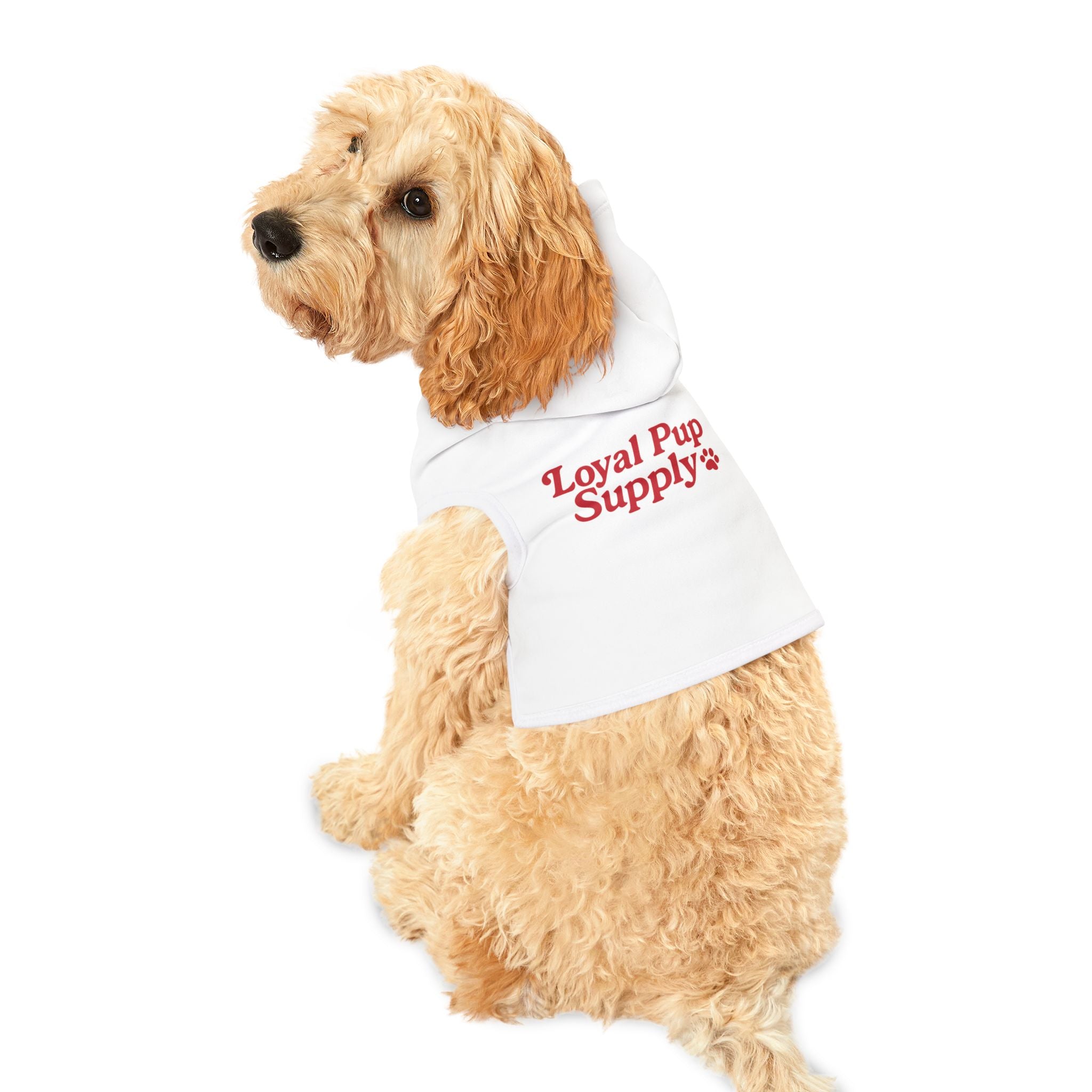 Cozy Pet Hoodie | Cute Dog Sweater for Stylish Pets, Perfect for Fall, Winter, Pet Birthdays, and Holiday Celebrations