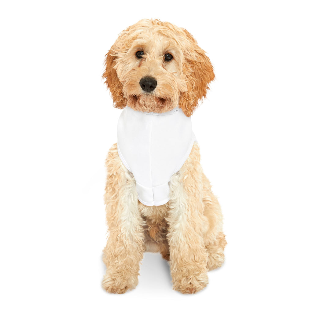 Cozy Pet Hoodie | Cute Dog Sweater for Stylish Pets, Perfect for Fall, Winter, Pet Birthdays, and Holiday Celebrations