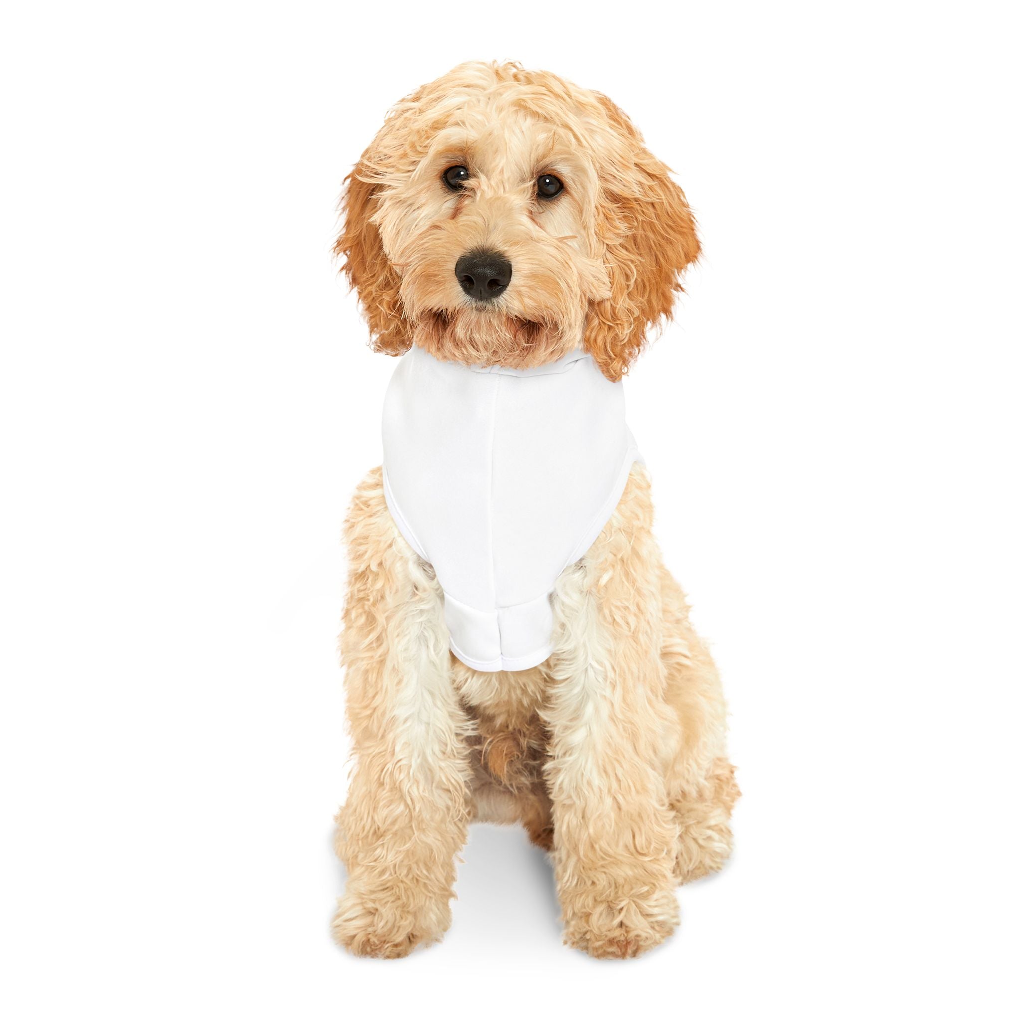 Cozy Pet Hoodie | Cute Dog Sweater for Stylish Pets, Perfect for Fall, Winter, Pet Birthdays, and Holiday Celebrations