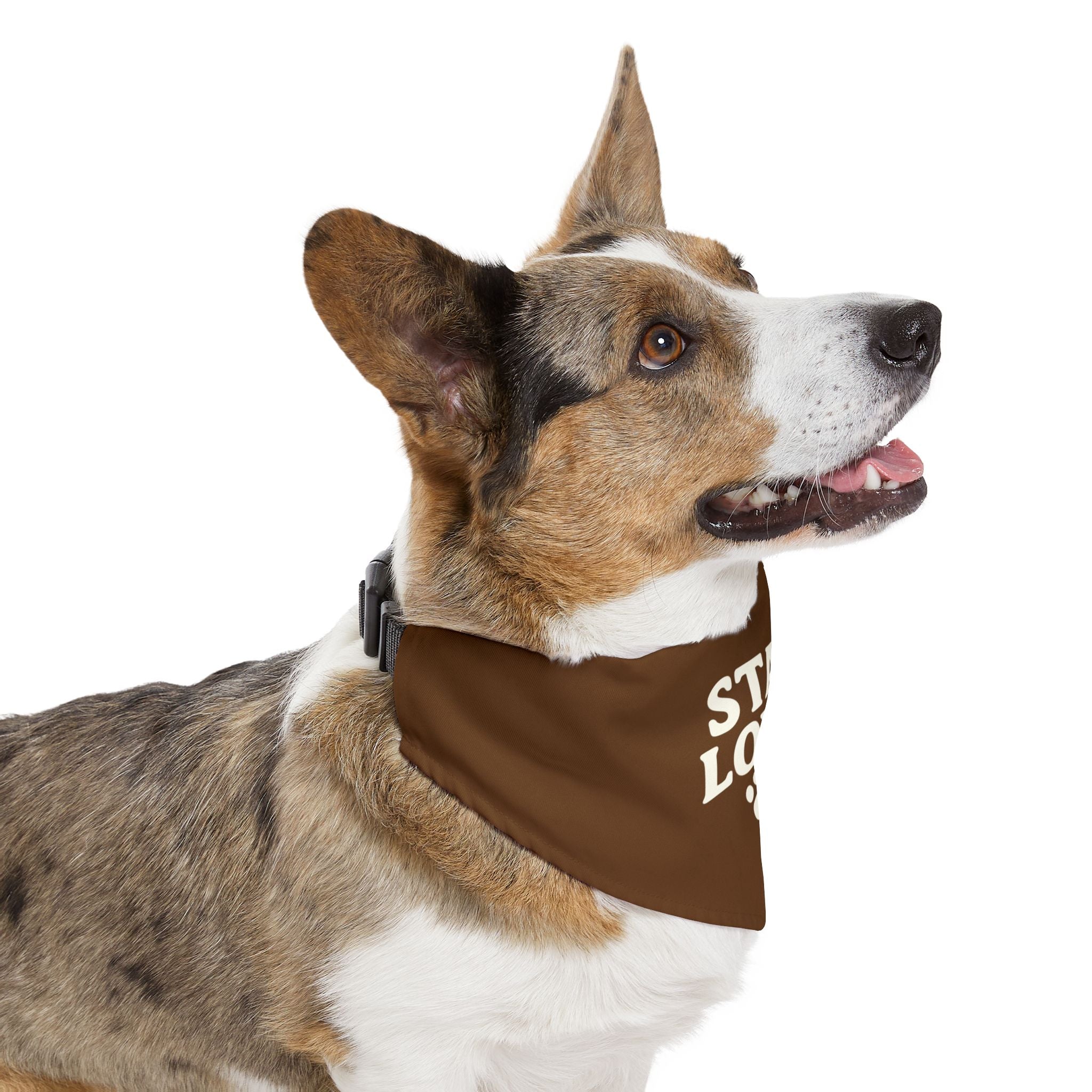 Stay Loyal Pet Bandana Collar, Cute Dog Accessories, Personalized Pet Gear, Gifts for Dog Lovers, Dog Bandana for Celebrations