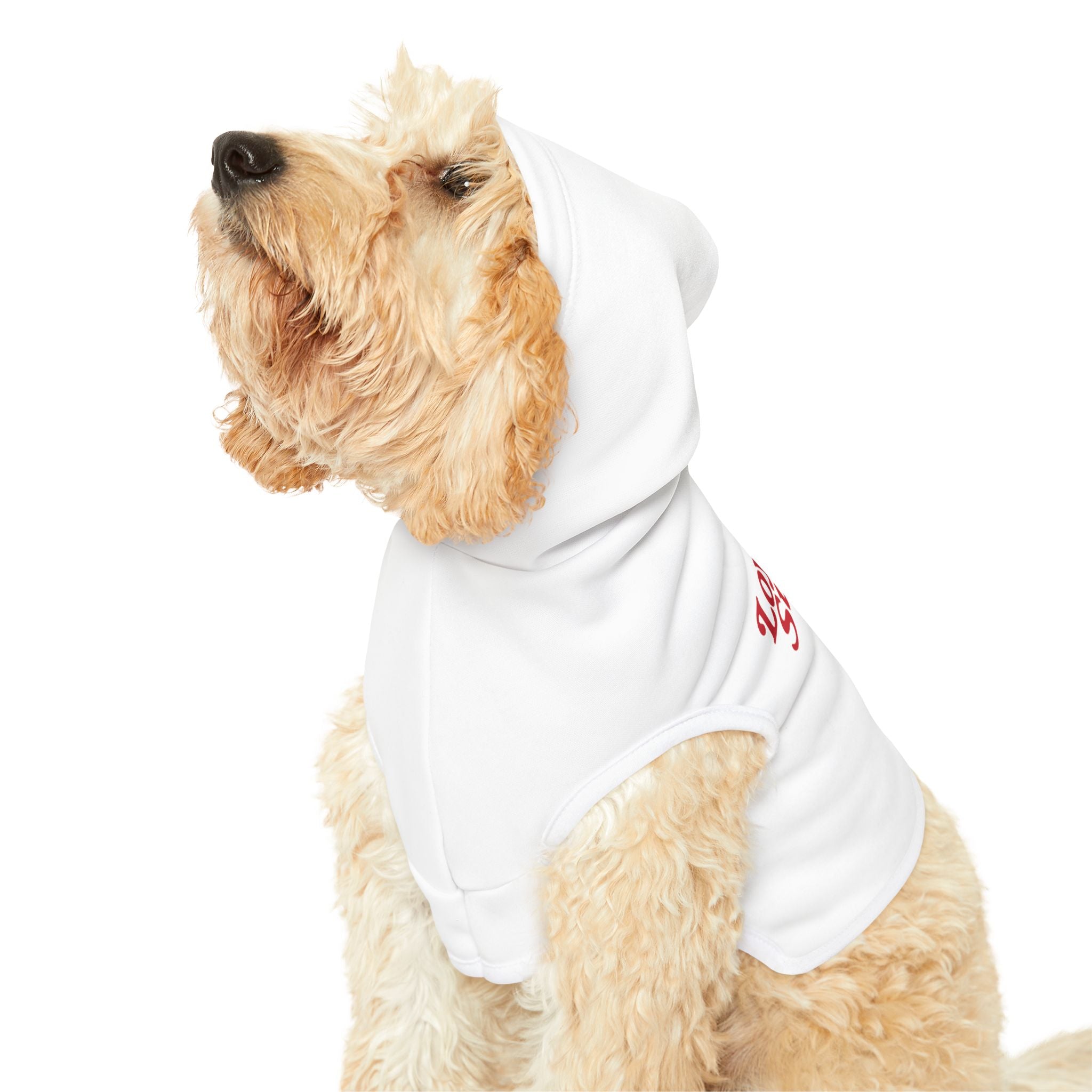 Cozy Pet Hoodie | Cute Dog Sweater for Stylish Pets, Perfect for Fall, Winter, Pet Birthdays, and Holiday Celebrations