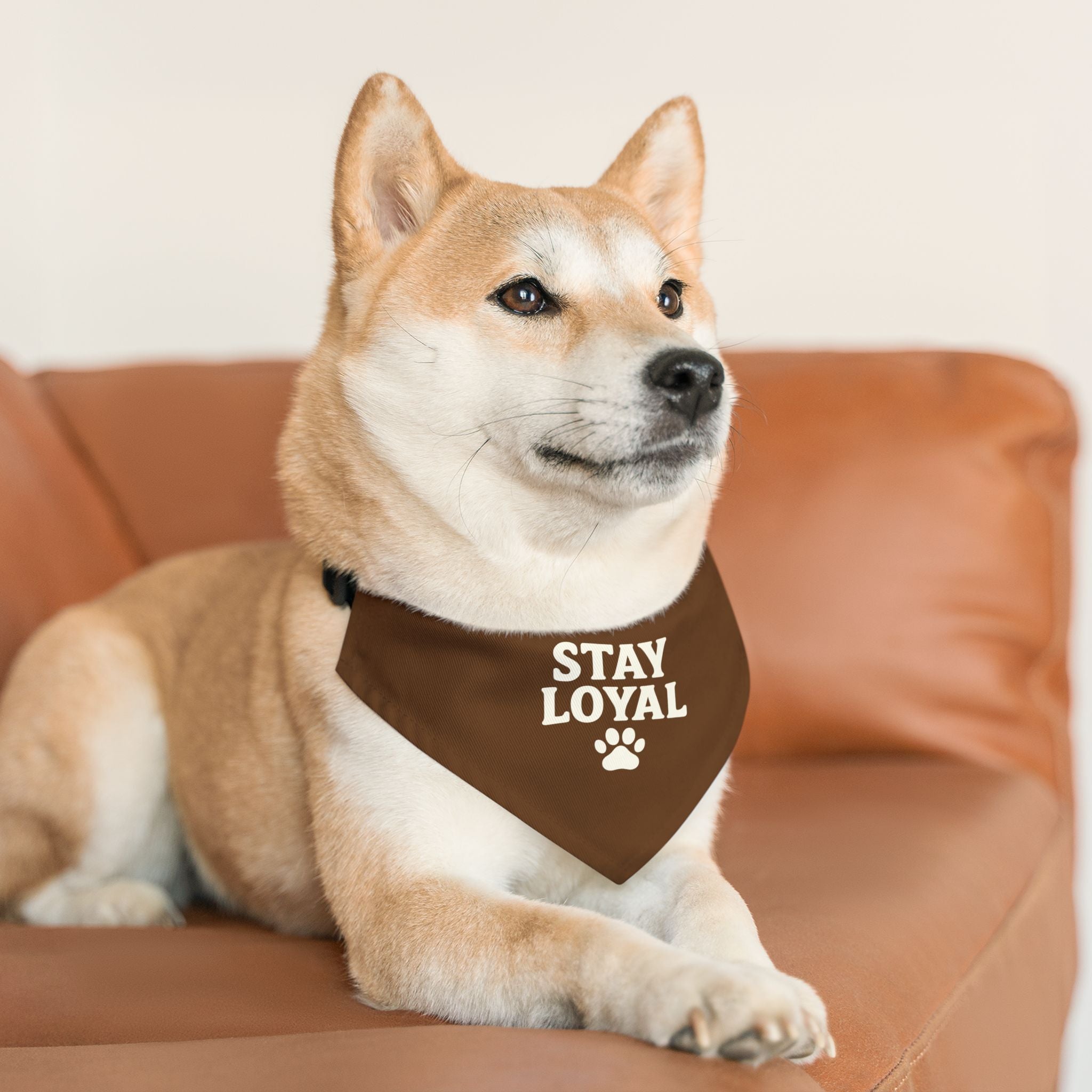 Stay Loyal Pet Bandana Collar, Cute Dog Accessories, Personalized Pet Gear, Gifts for Dog Lovers, Dog Bandana for Celebrations